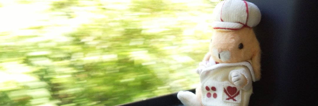 zoomintia's profile banner image