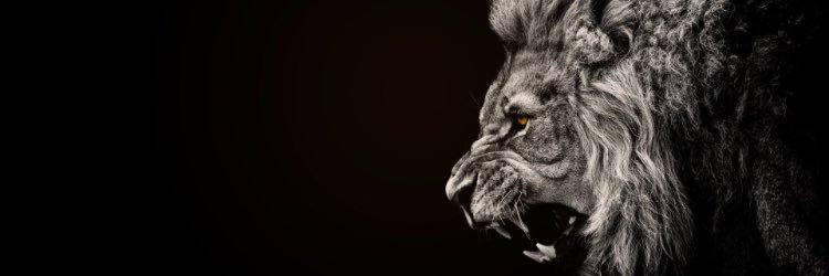 King_Kunta901's profile banner image