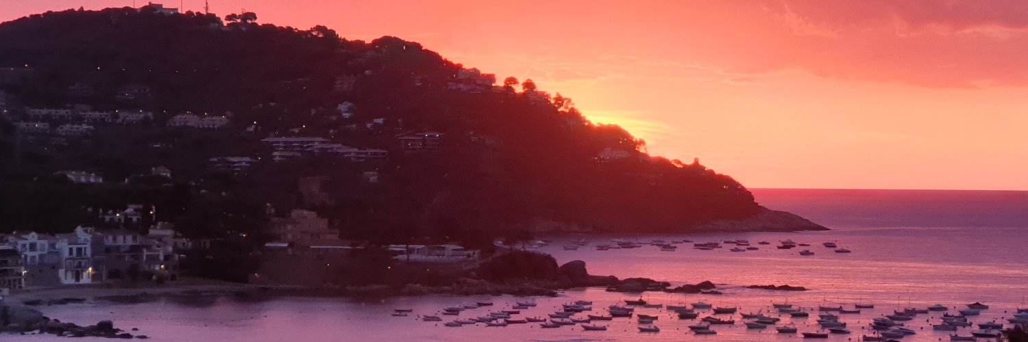 Dídac López Viñas 🎗 banner