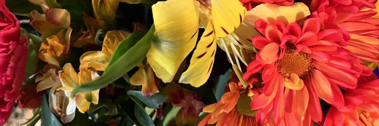 CrisContrerasNY's profile banner image