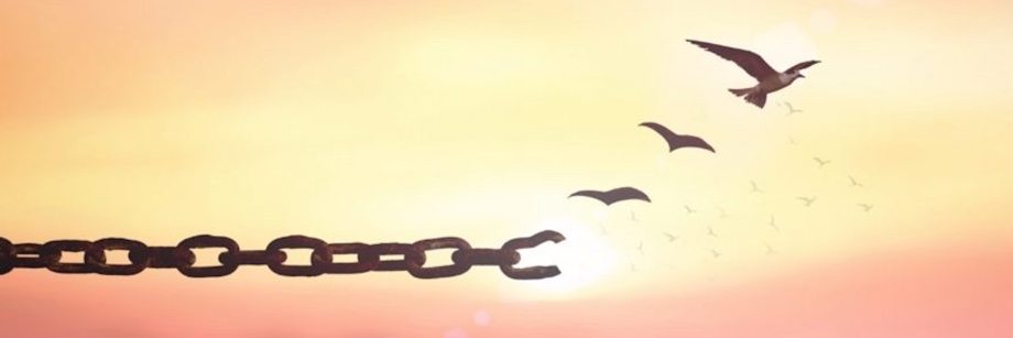 Shitizenjohn's profile banner image