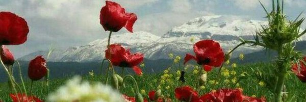 Baharvand_A Profile Banner