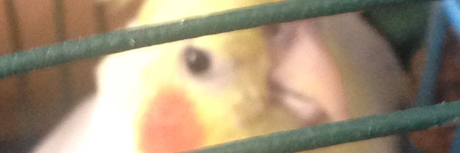 Pastro25's profile banner image