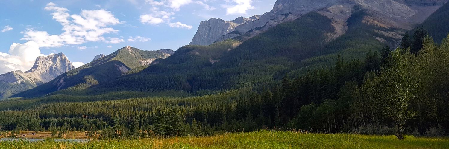 HappyLilLotus's profile banner image