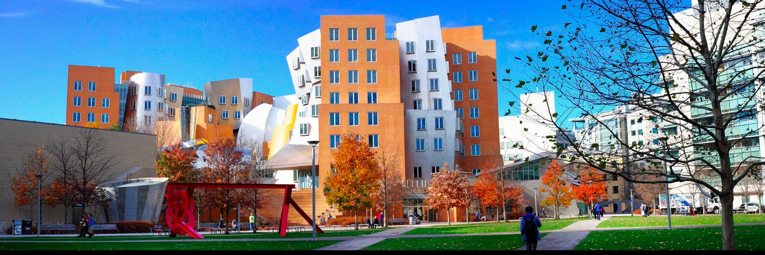 𝗔𝘆𝘂𝘀𝗵 banner