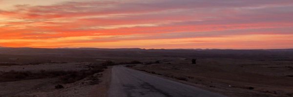 avneris Profile Banner