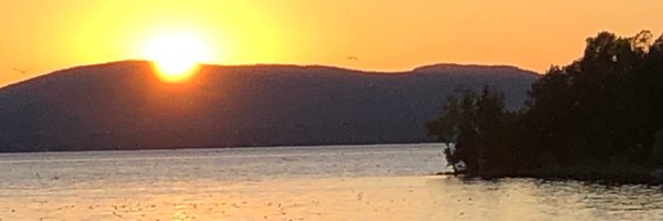 TaylorHRicketts Profile Banner