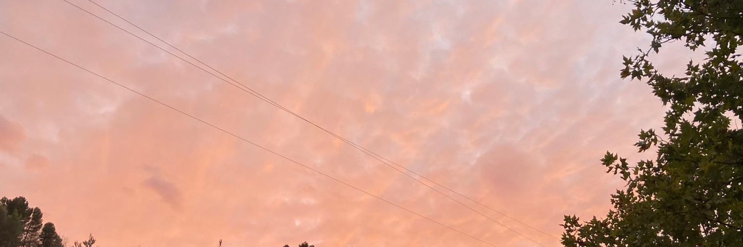 _danielavf_'s profile banner image