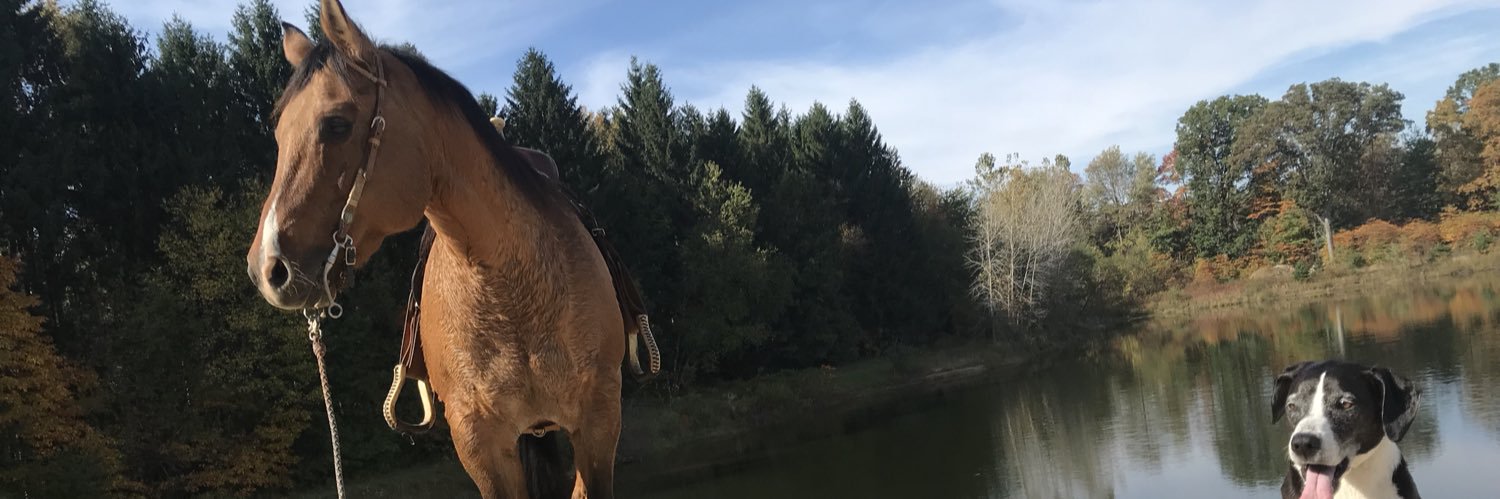 LisSmith1521's profile banner image