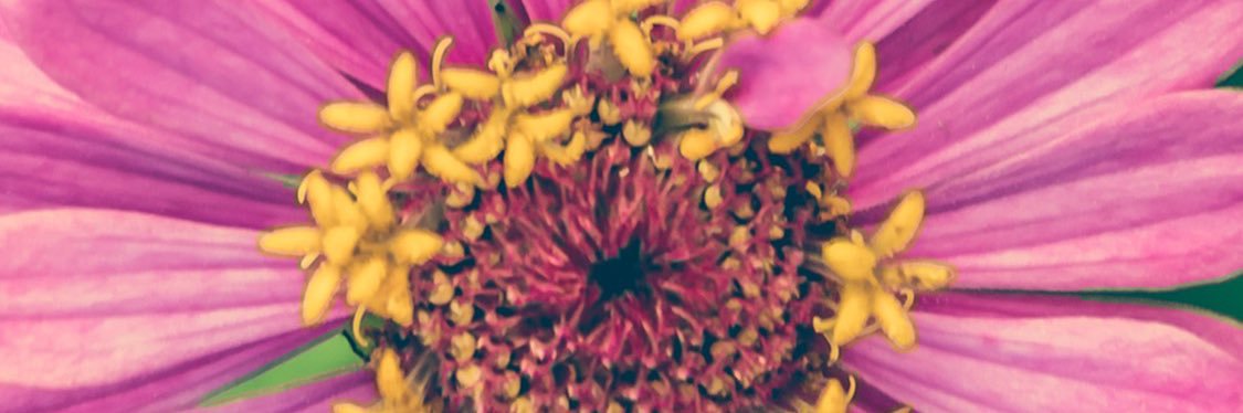 MTecsonGolfinopoulos banner