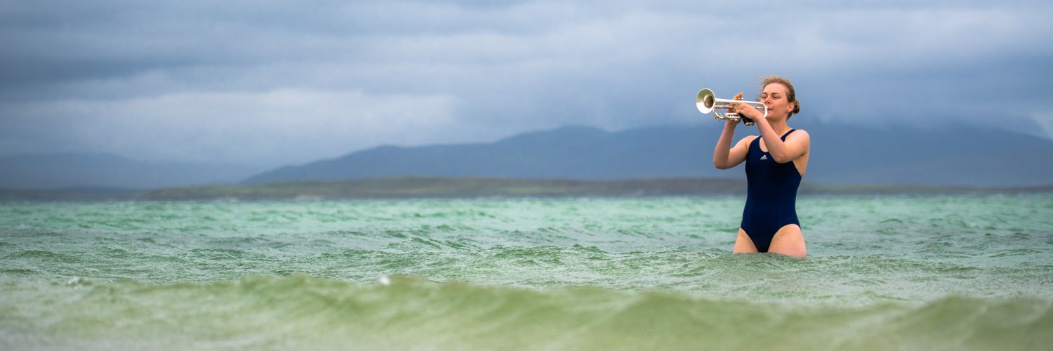 Nevis Ensemble banner