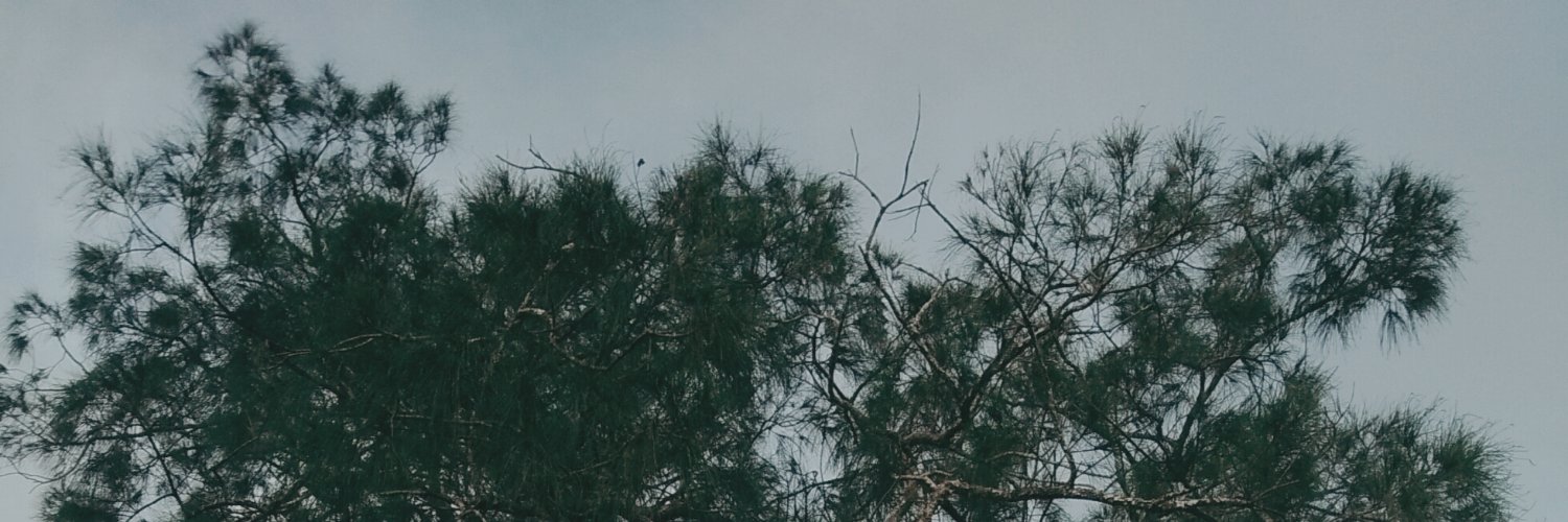 rhimasun_'s profile banner image