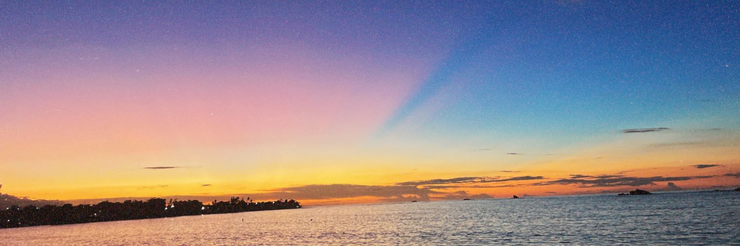 FiiJoy's profile banner image