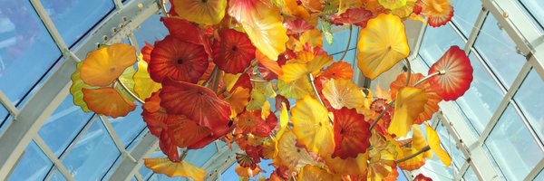 l8young Profile Banner