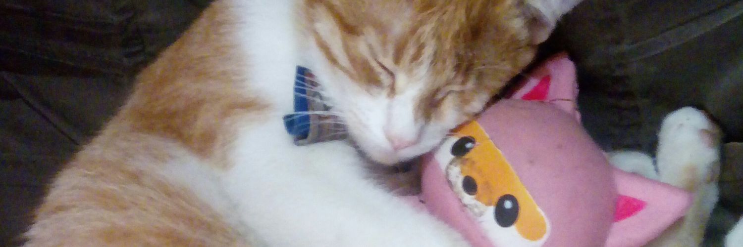 OLIVARMSTRONG's profile banner image