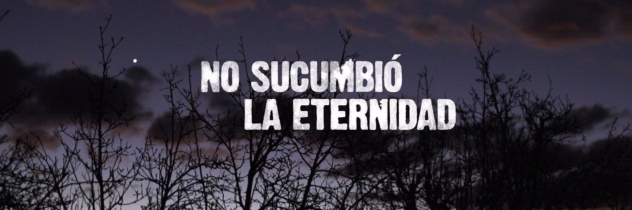 NSLE documental banner