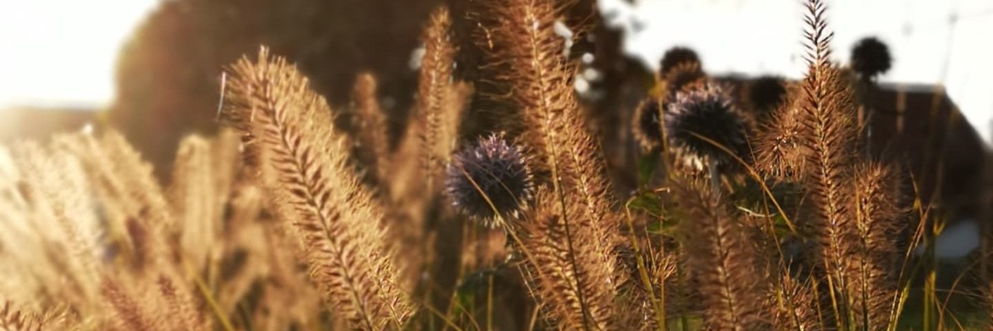 DescampsTim's profile banner image