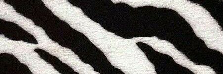 ℓiri banner