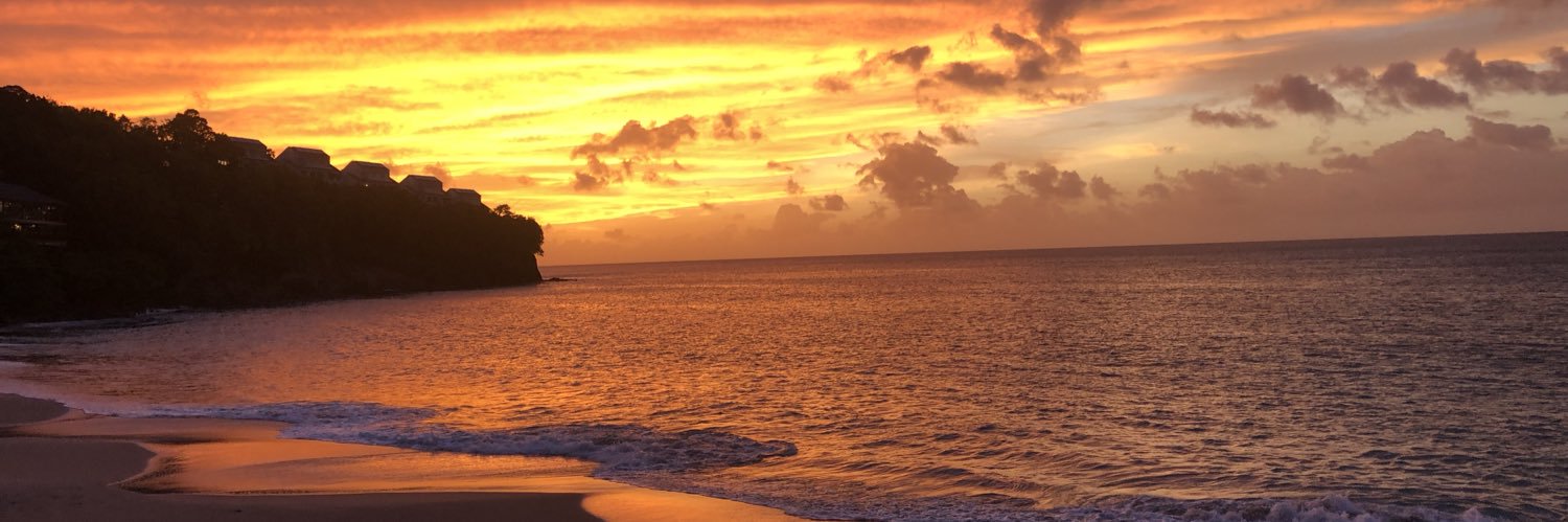 𝙲𝚊𝚜𝚜𝚒𝚍𝚢 𝚃𝚛𝚊𝚢𝚕𝚘𝚛 banner