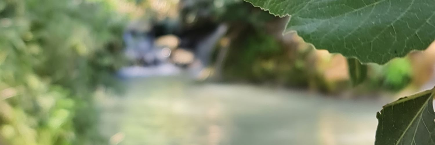 napo789's profile banner image