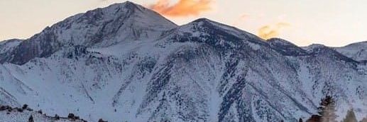 DrTente del mal banner