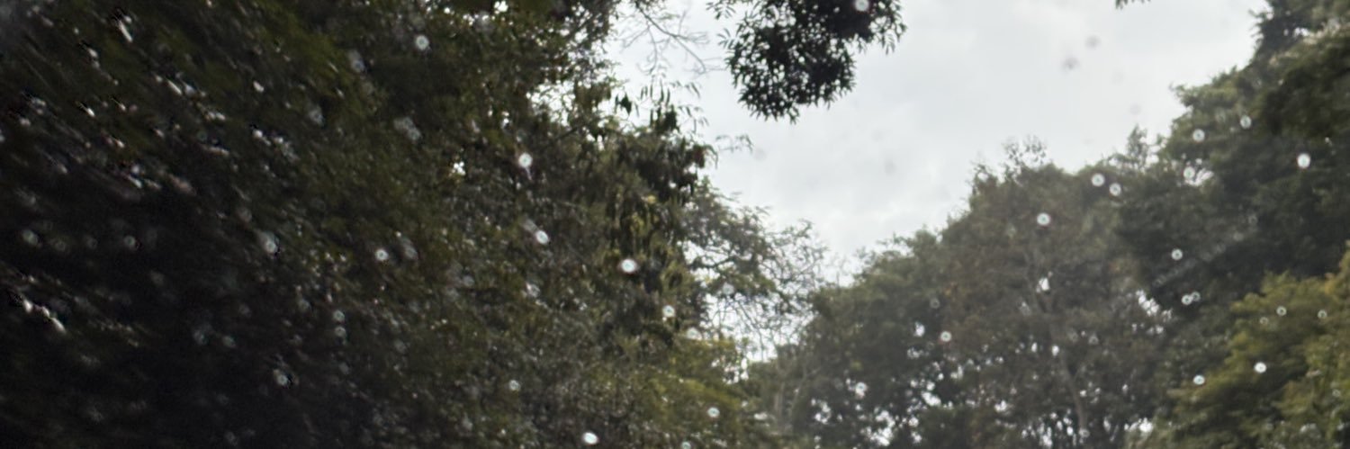 rat_santi's profile banner image