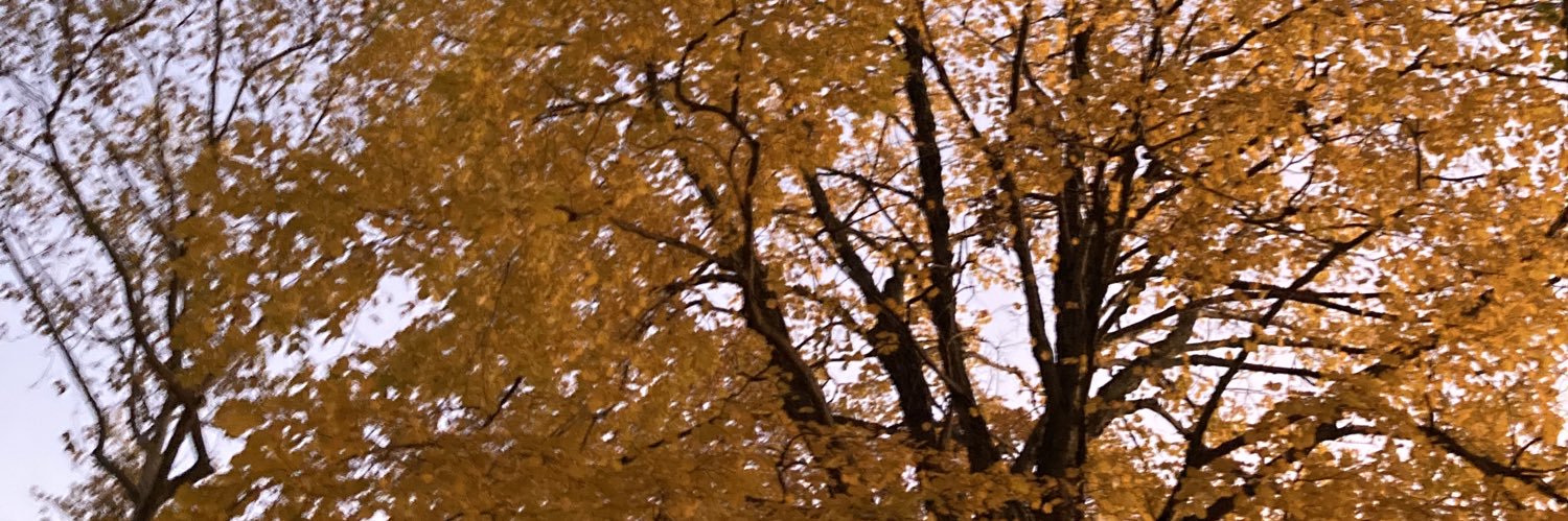 kathfoth's profile banner image
