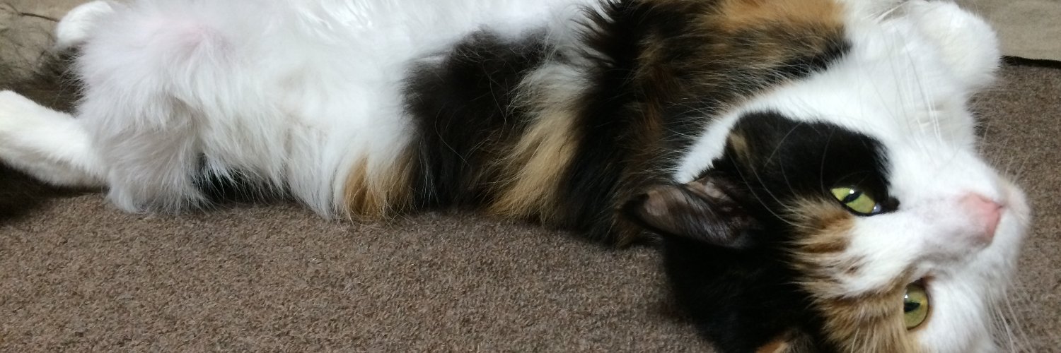 アオキさん banner