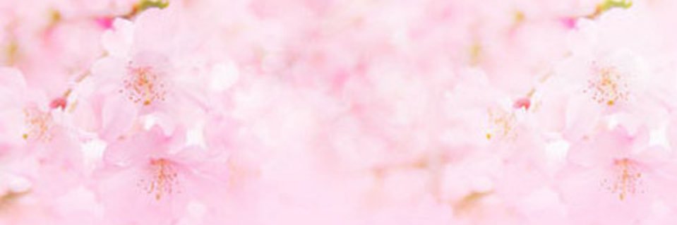 🌸 banner