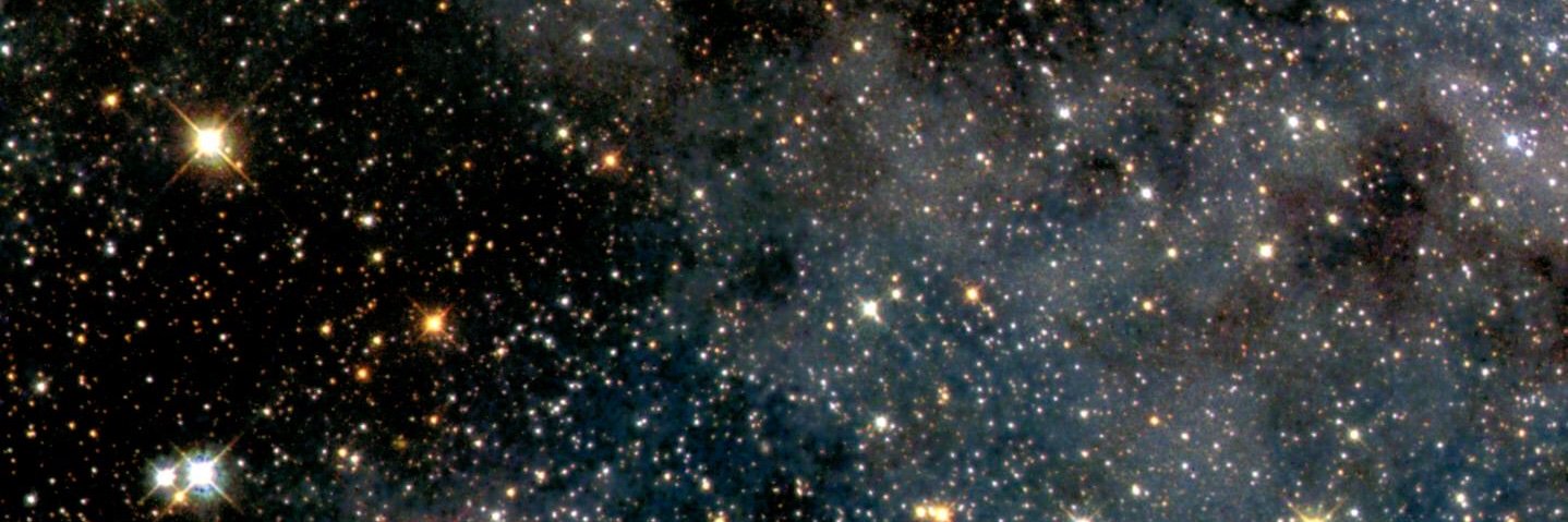 nellaYec's profile banner image