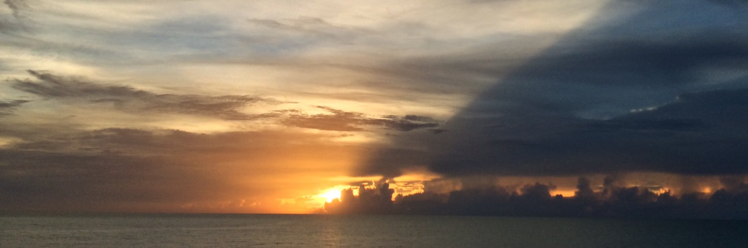RealityChked's profile banner image