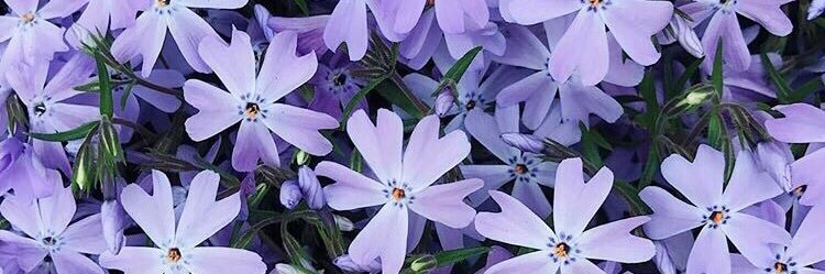 Anitka__B's profile banner image