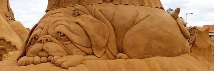 srihari1997's profile banner image