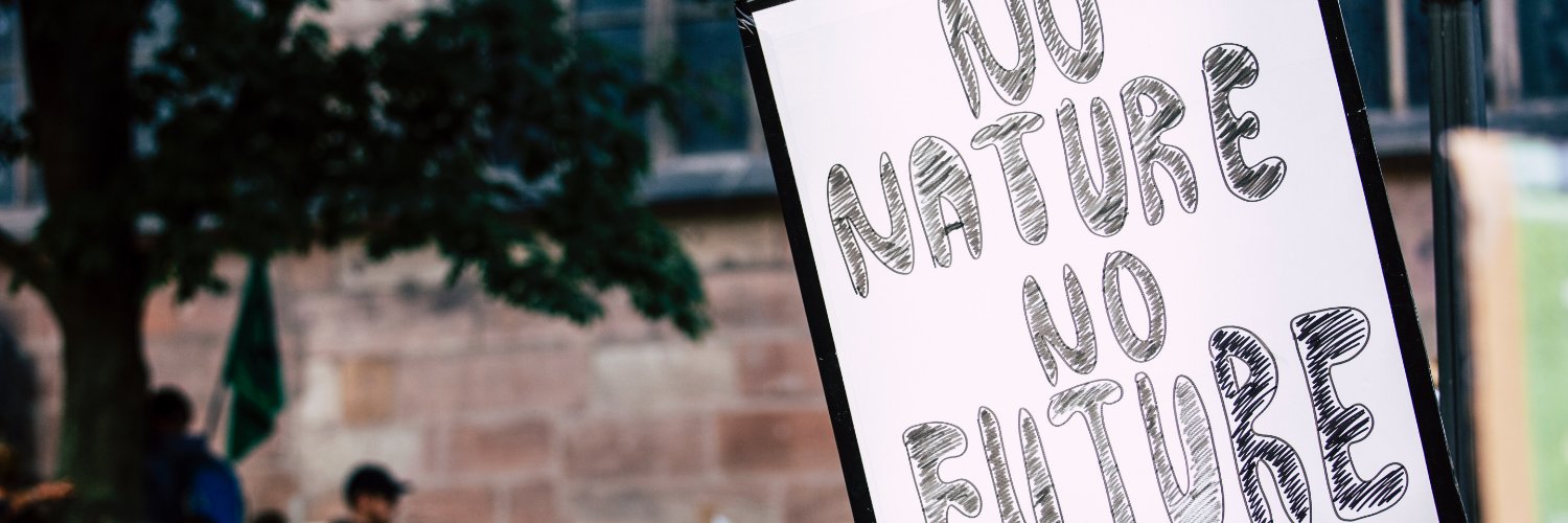 Monica Beck banner
