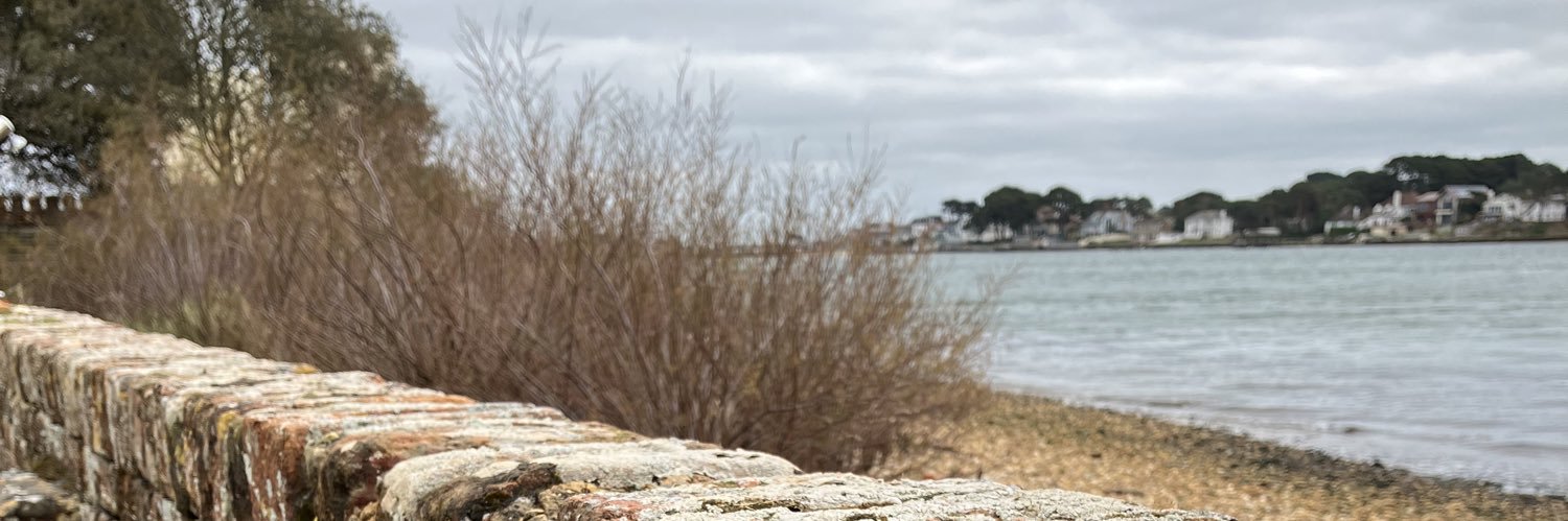 Willseys's profile banner image