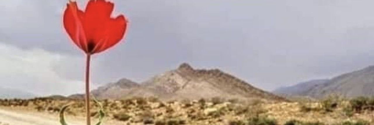 UDAY SINGH banner