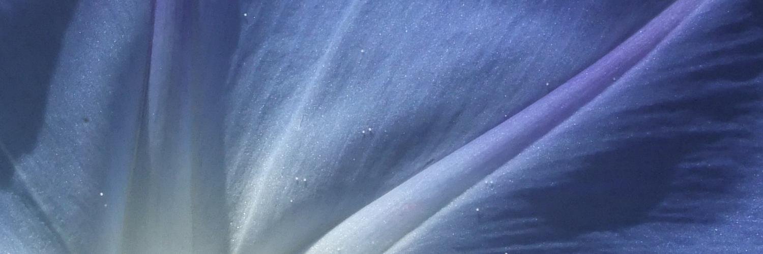 ComBonjour's profile banner image
