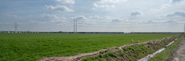 MichielMuis Profile Banner