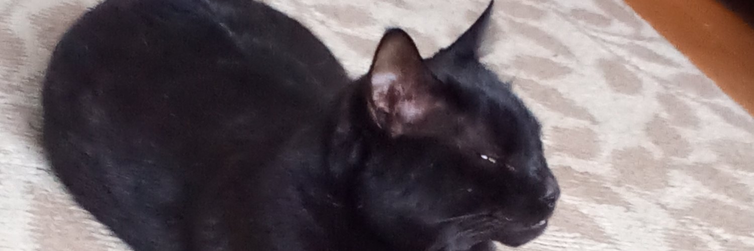 SOFT☆ERO卓 banner