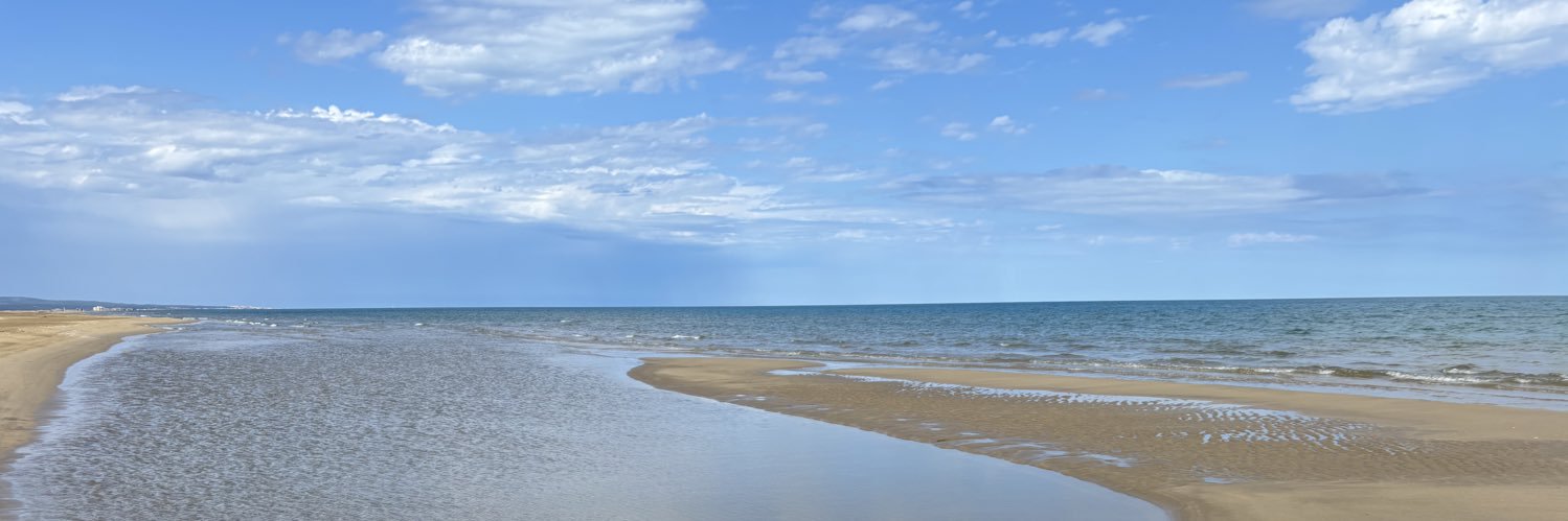 Corinne Narbonne banner