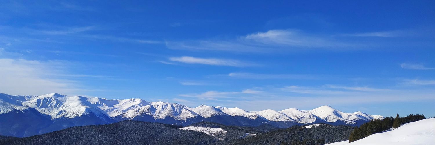 snalmaluy's profile banner image