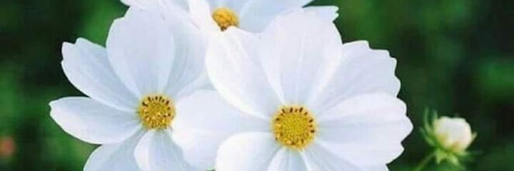 TarynRose13's profile banner image