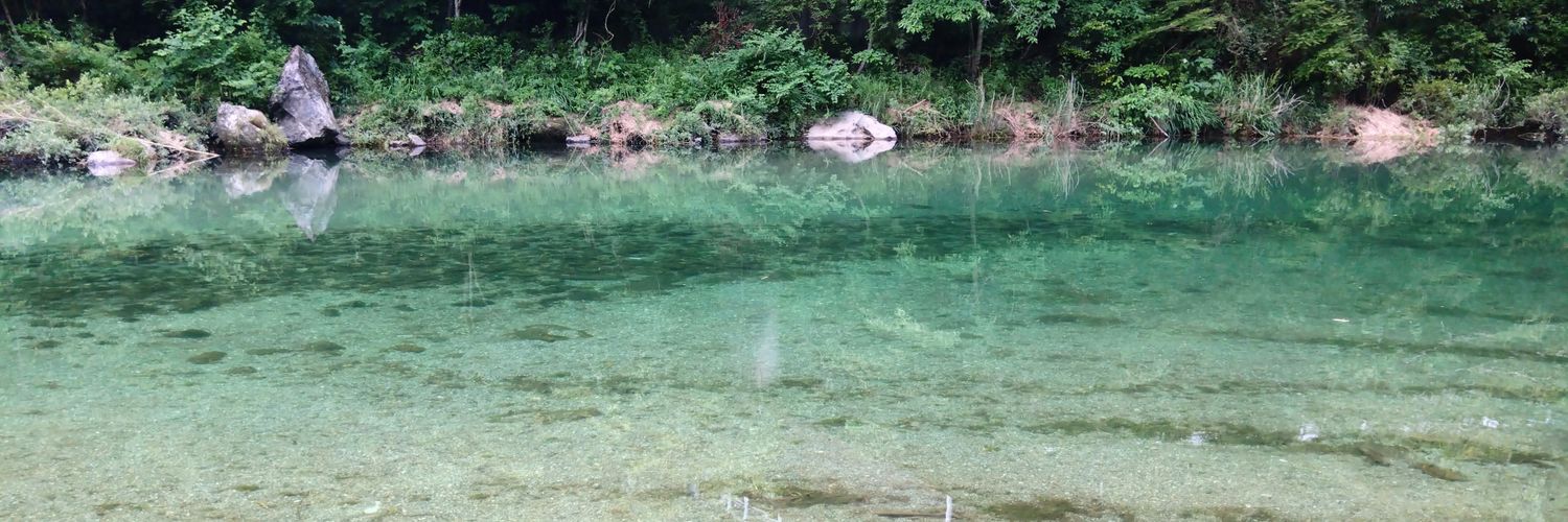 ヌエ子@Skeb募集中 banner