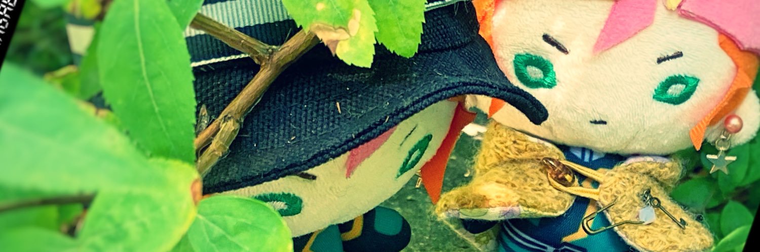 モモ🧸 banner