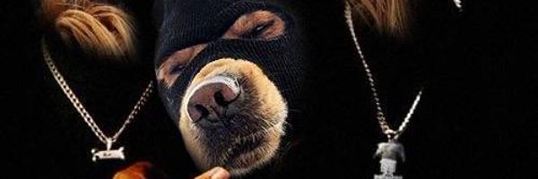 swaroopesd Profile Banner