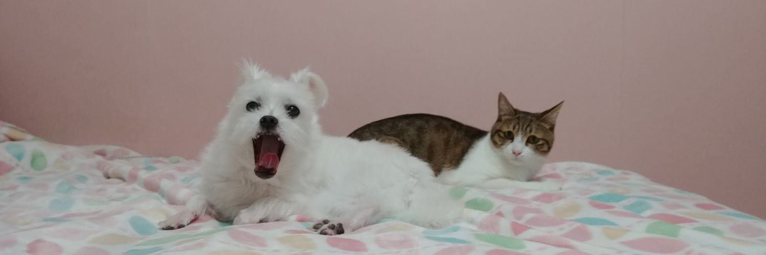 ruby_with_mong's profile banner image