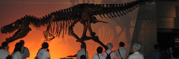 kimi_neri Profile Banner