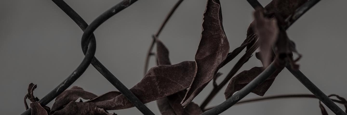 6loob1917's profile banner image