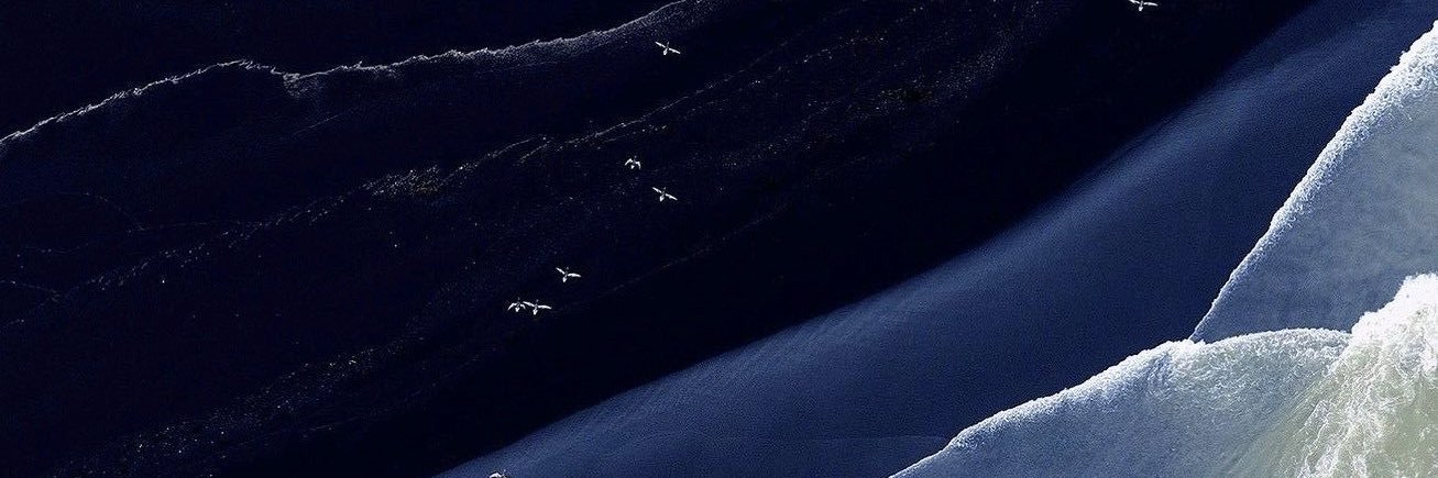 𝐃𝐀𝐈𝐍𝐒𝐋𝐄𝐈𝐅. banner