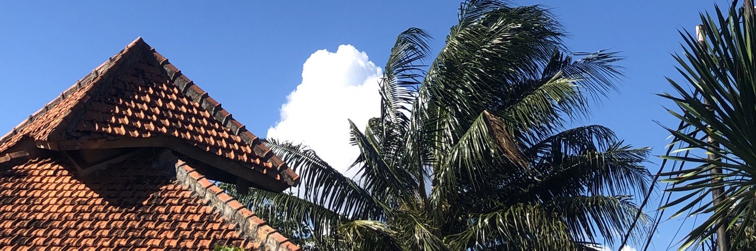 Hannaurah_'s profile banner image
